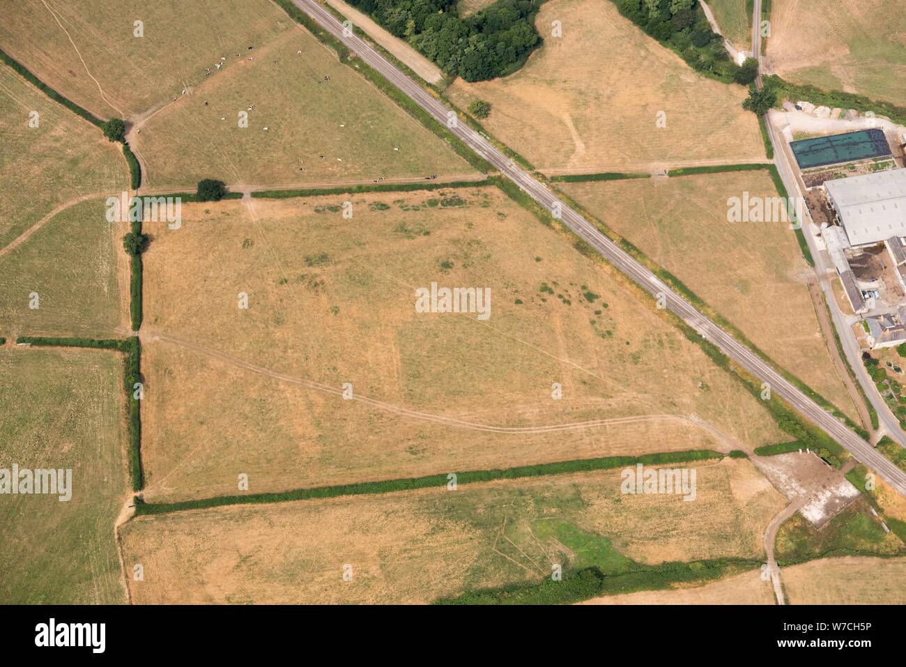 Erdarbeiten bleibt der Witham Priory, Witham Friary, Somerset, 2018. Schöpfer: Historisches England Fotograf. Stockfoto