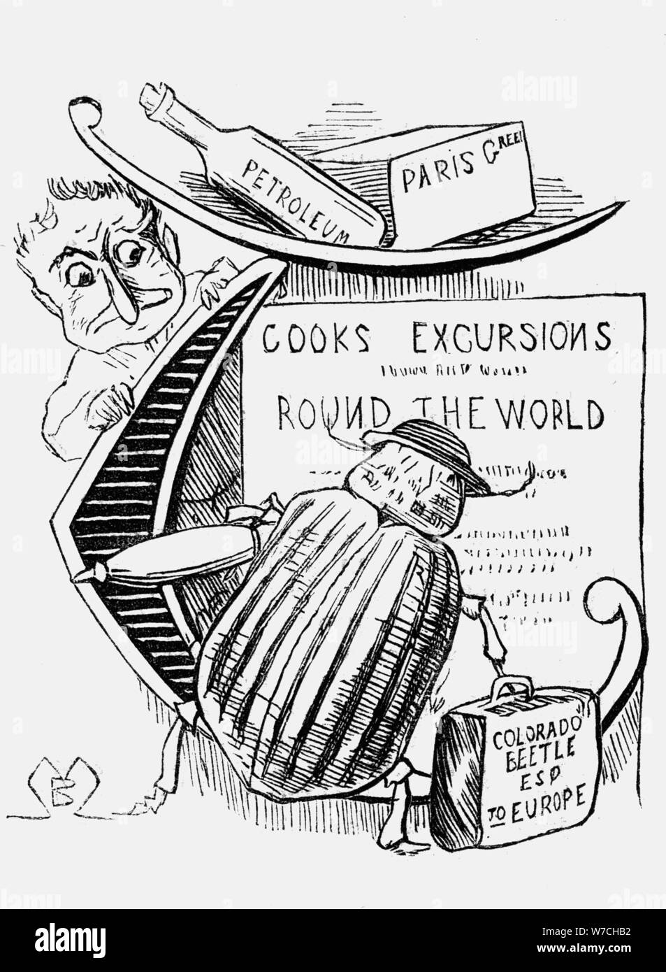 "Der große Käfer Panik", 1877. Artist: Montagu Blatchford Stockfoto