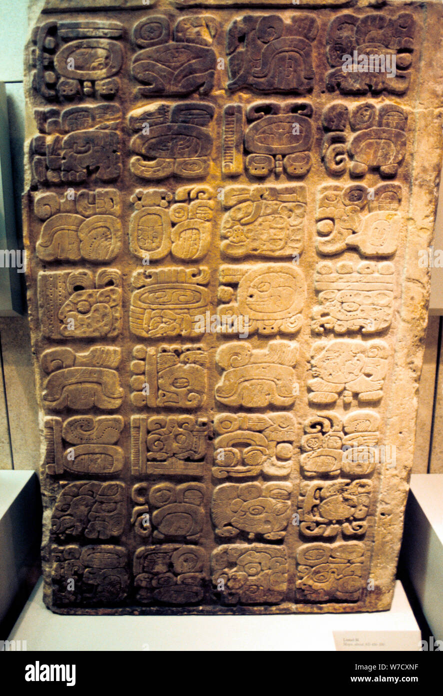 Maya Türsturz der Liste der neun Generationen Machthaber Yaxchilan, 450-550. Artist: Unbekannt Stockfoto