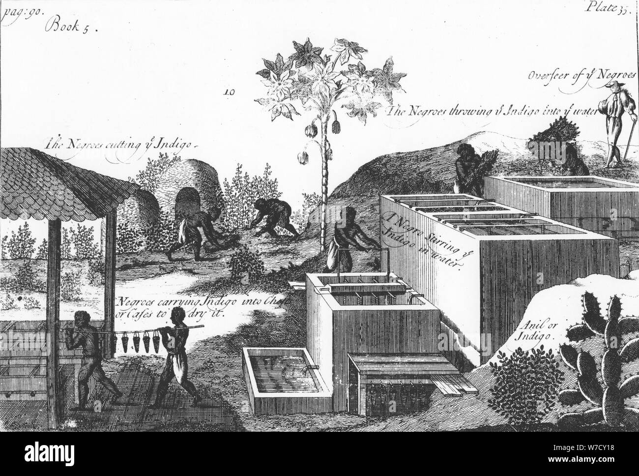 Die Herstellung von Indigo Farbstoff mit Sklavenarbeit: West Indies oder Mittelamerika, 1725. Artist: Anon Stockfoto