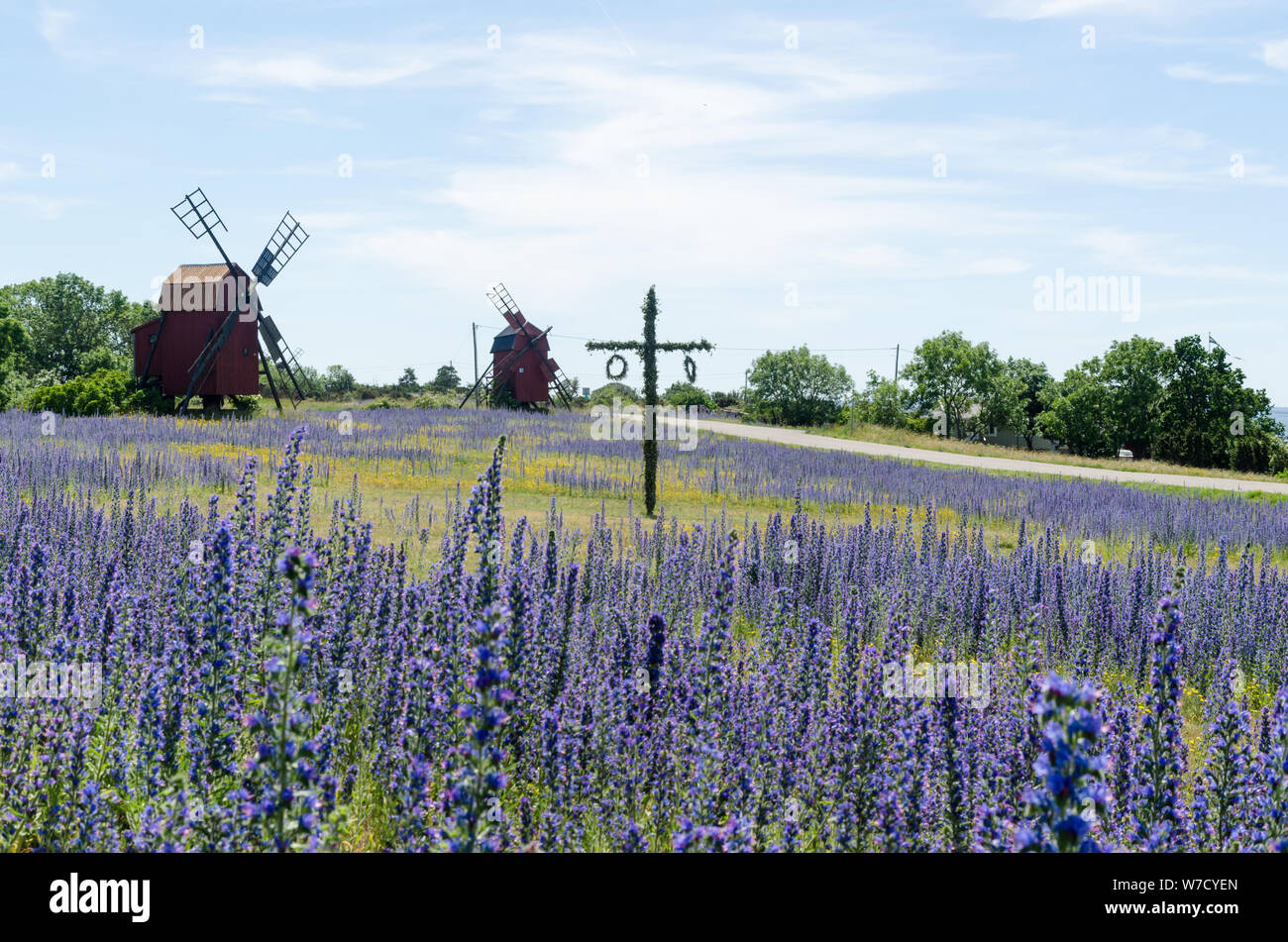 Maibaum für das Feiern Mittsommer in einem blauen Feld auf der schwedischen Insel Oland Stockfoto