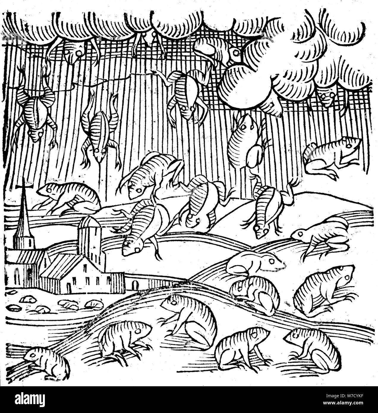 Regen der Frösche im Jahre 1355 aufgezeichnet (1557). Artist: Unbekannt Stockfoto