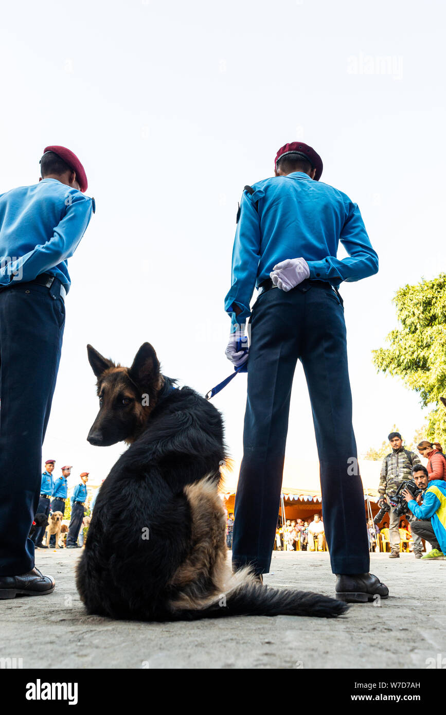 KATHMANDU, Nepal - NOVEMBER 6, 2018: Nepal Polizei feiert Kukur Tihar (Hund Festival) am zentralen Polizei Hundeschule. Stockfoto