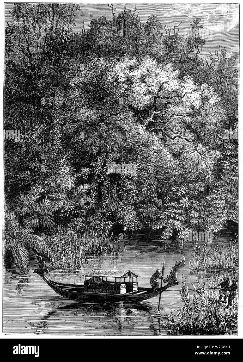 Blick auf den Dodinga River, New Guinea, 1877. Artist: Unbekannt Stockfoto