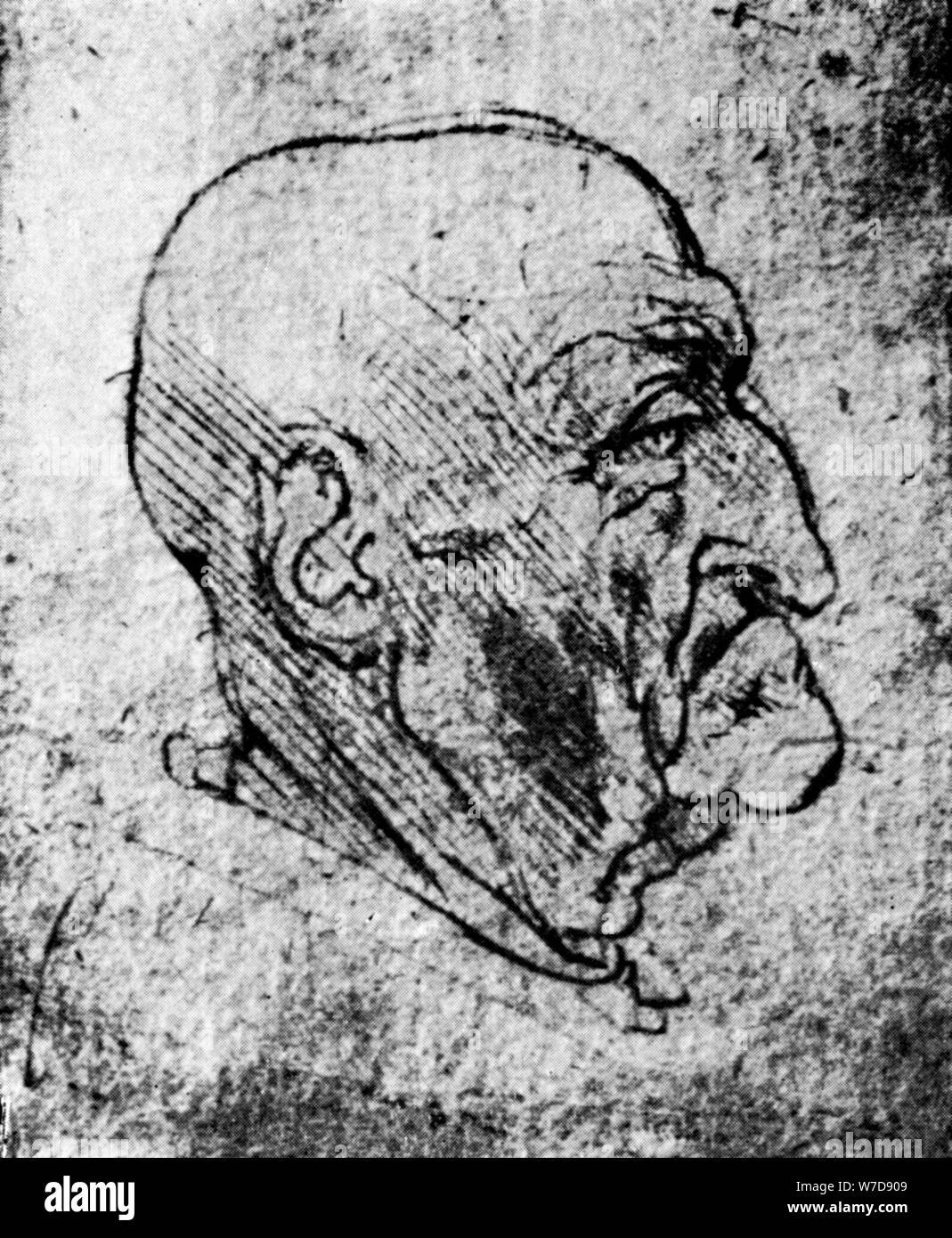 'Kopf eines alten Mannes", 1913. Künstler: Leonardo da Vinci Stockfoto