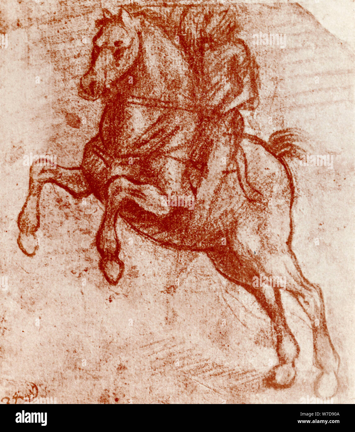 Studie eines Ritters, die von Leonardo Da Vinci, 1913. Künstler: Leonardo da Vinci Stockfoto