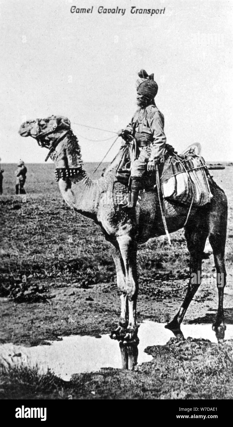 Kamel Kavallerie transport, Indien, 20. Artist: Unbekannt Stockfoto