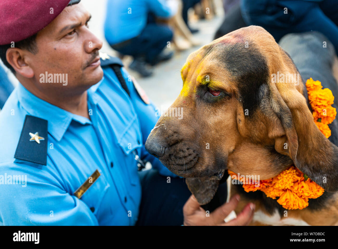 KATHMANDU, Nepal - NOVEMBER 6, 2018: Nepal Polizei feiert Kukur Tihar (Hund Festival) am zentralen Polizei Hundeschule. Stockfoto