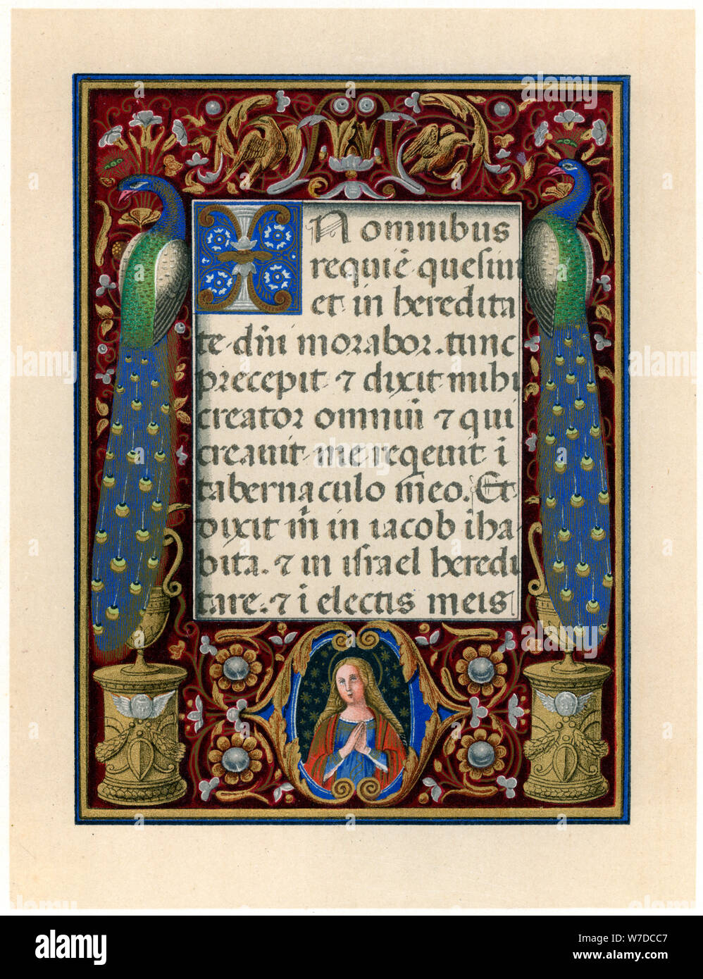 Text Seite mit der Jungfrau und zwei Pfaue, c 1490. Artist: Unbekannt Stockfoto