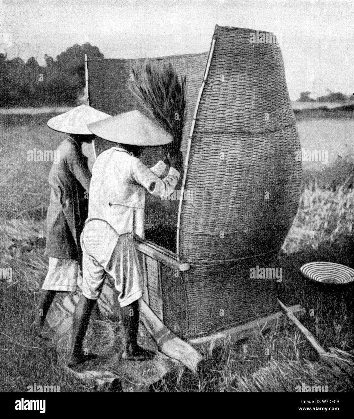 Die annamese Weg zu ernten und Dreschen von Reis, Annam, Vietnam, 1922. Artist: Unbekannt Stockfoto