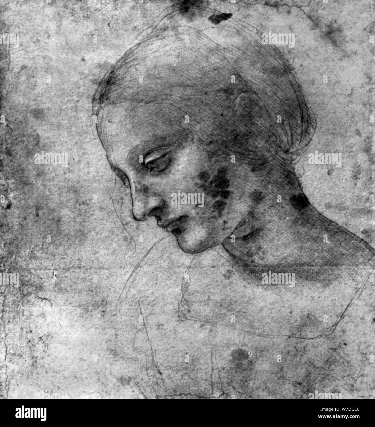 Studie der Kopf der Madonna aus dem 15. Jahrhundert (1930) Künstler: Leonardo da Vinci Stockfoto