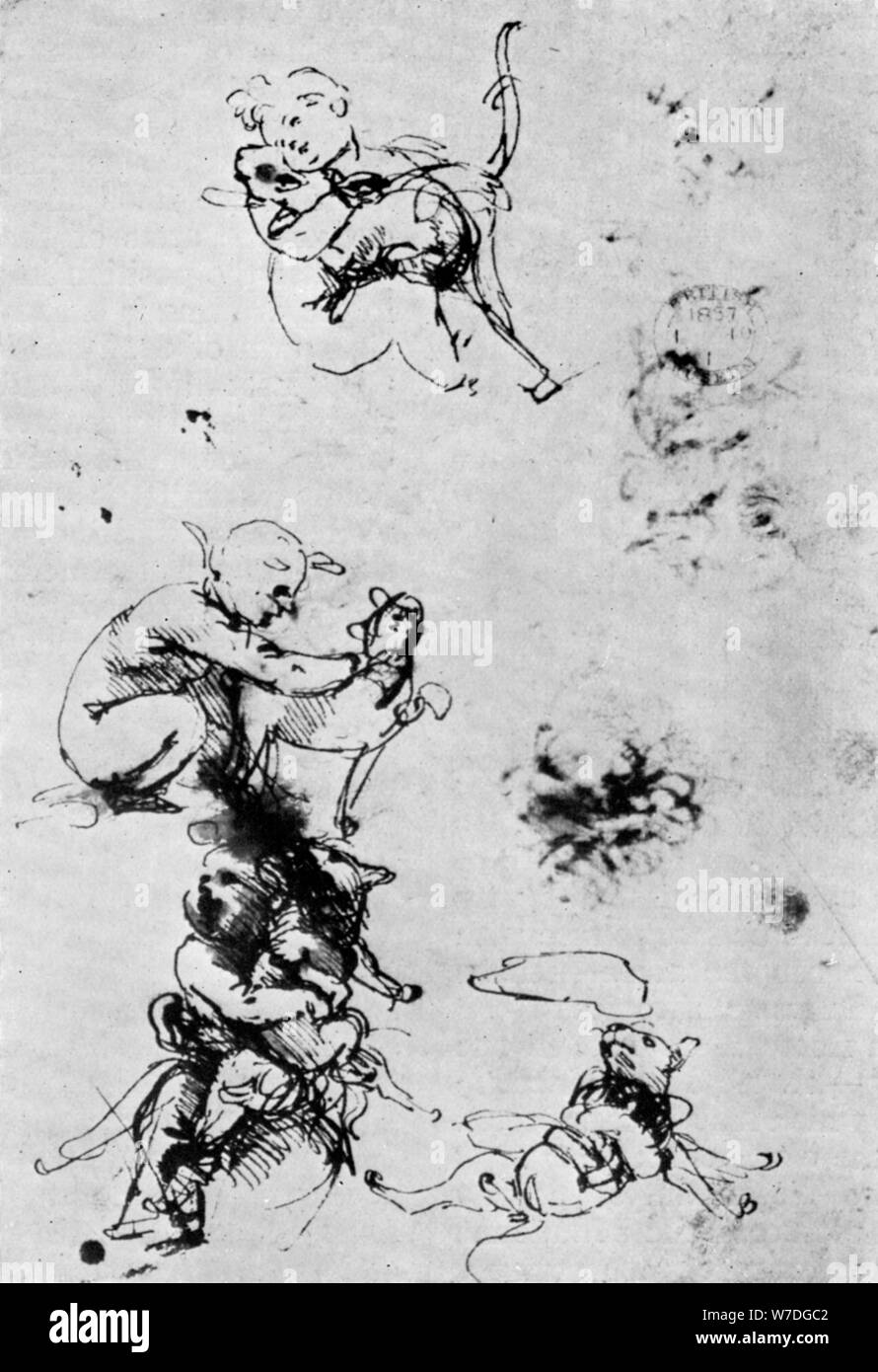 Studien für einen 'Madonna Del Gatto", aus dem 15. Jahrhundert (1930) Künstler: Leonardo da Vinci Stockfoto