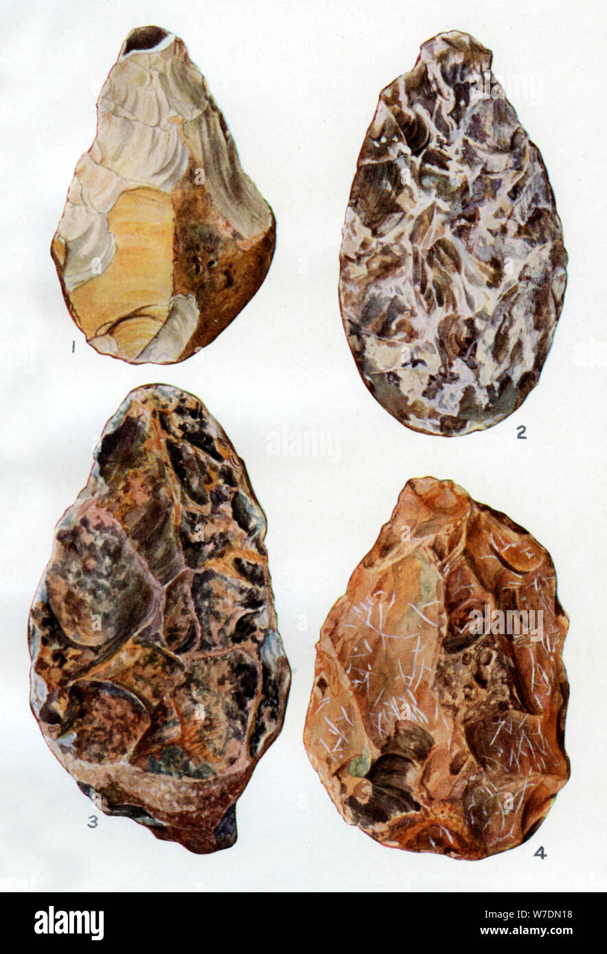 Prähistorisches steinwerkzeug -Fotos und -Bildmaterial in hoher Auflösung –  Alamy