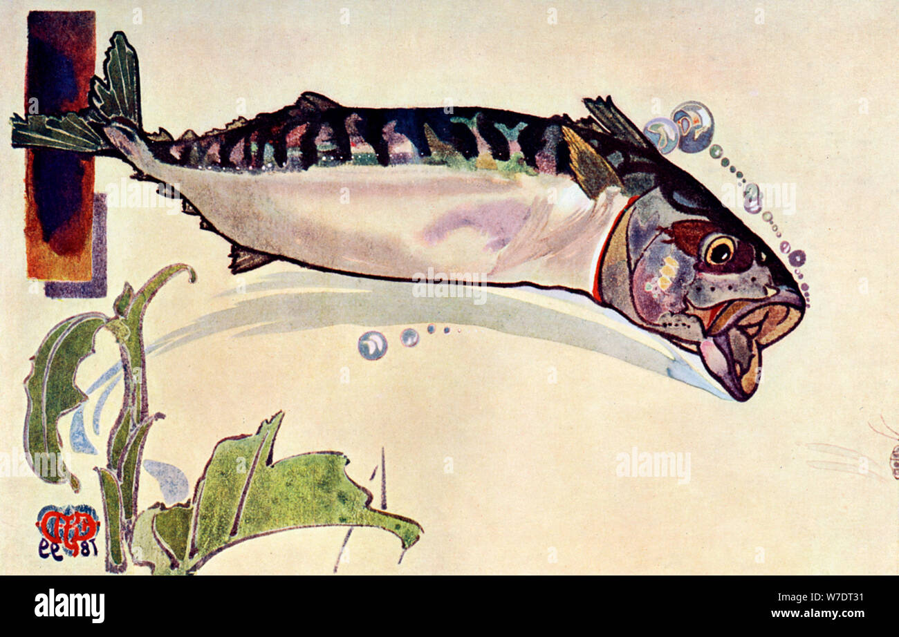 "Makrele", 1900. Artist: Unbekannt Stockfoto