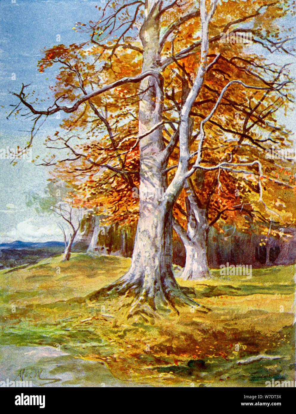 Fabelhafte Herbst Baum Malen Bilder
