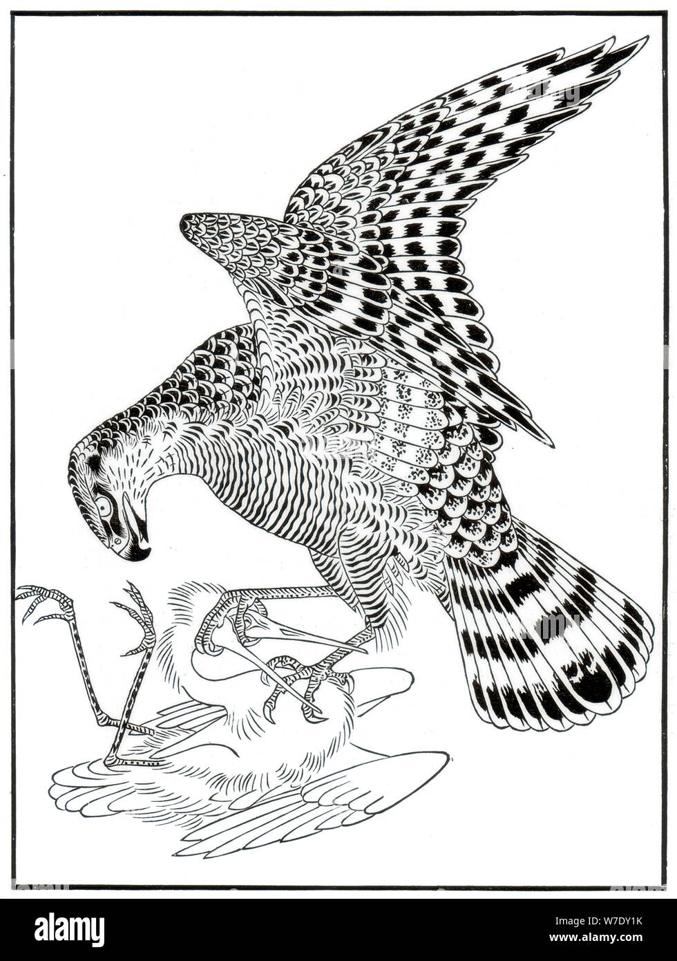 Falcon und Reiher, 16. Jahrhundert (1886). Artist: Unbekannt Stockfoto