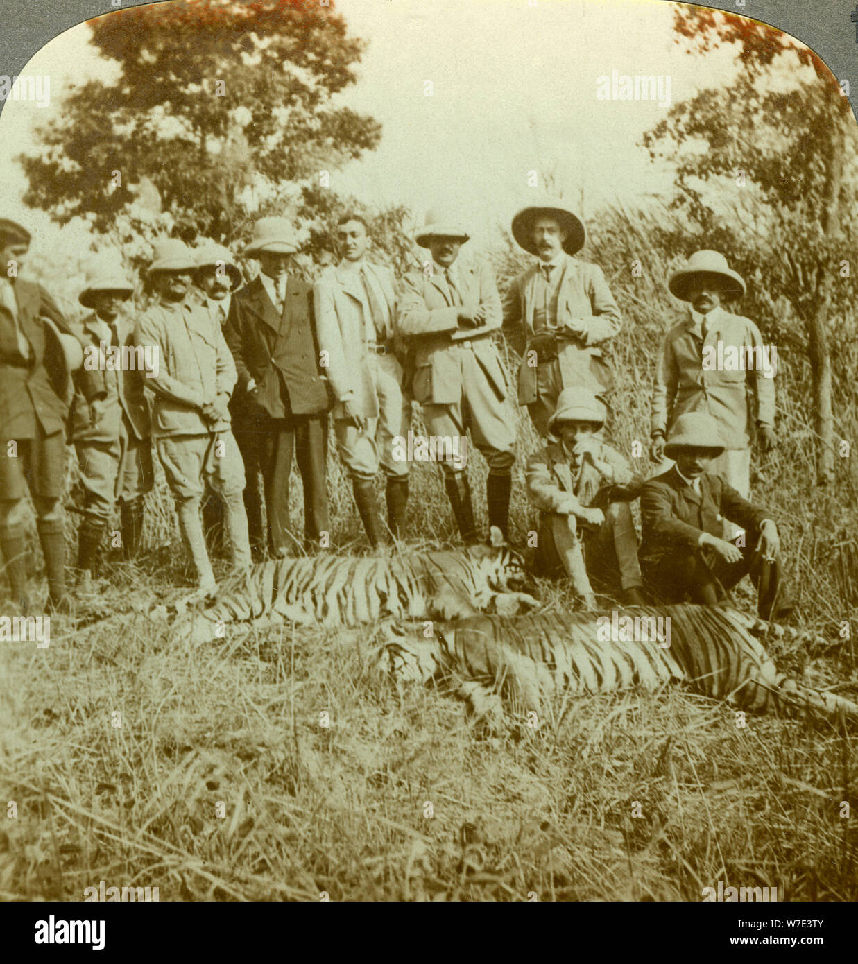 Tiger Jagd, Cooch Behar, West Bengal, Indien, c 1900 s (?). Artist: Underwood & Underwood Stockfoto