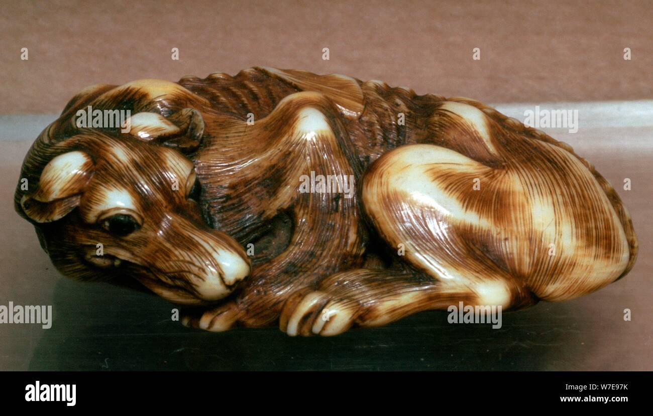 Japanische Netsuke eines Hundes, 19. Artist: Unbekannt Stockfoto