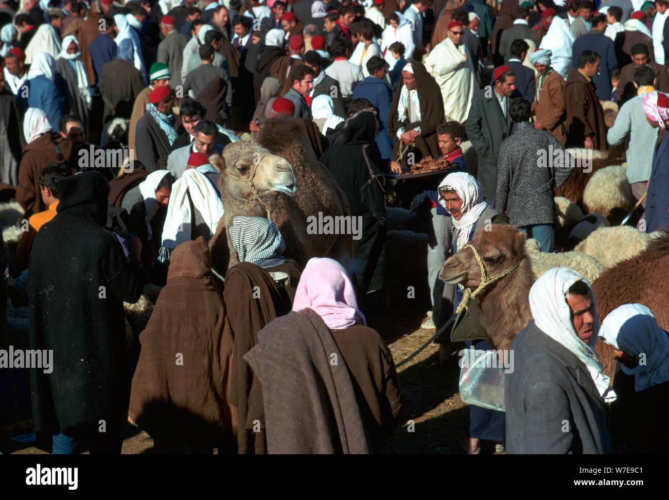 Kamelmarkt in Sousse, Tunesien. Artist: Unbekannt Stockfoto