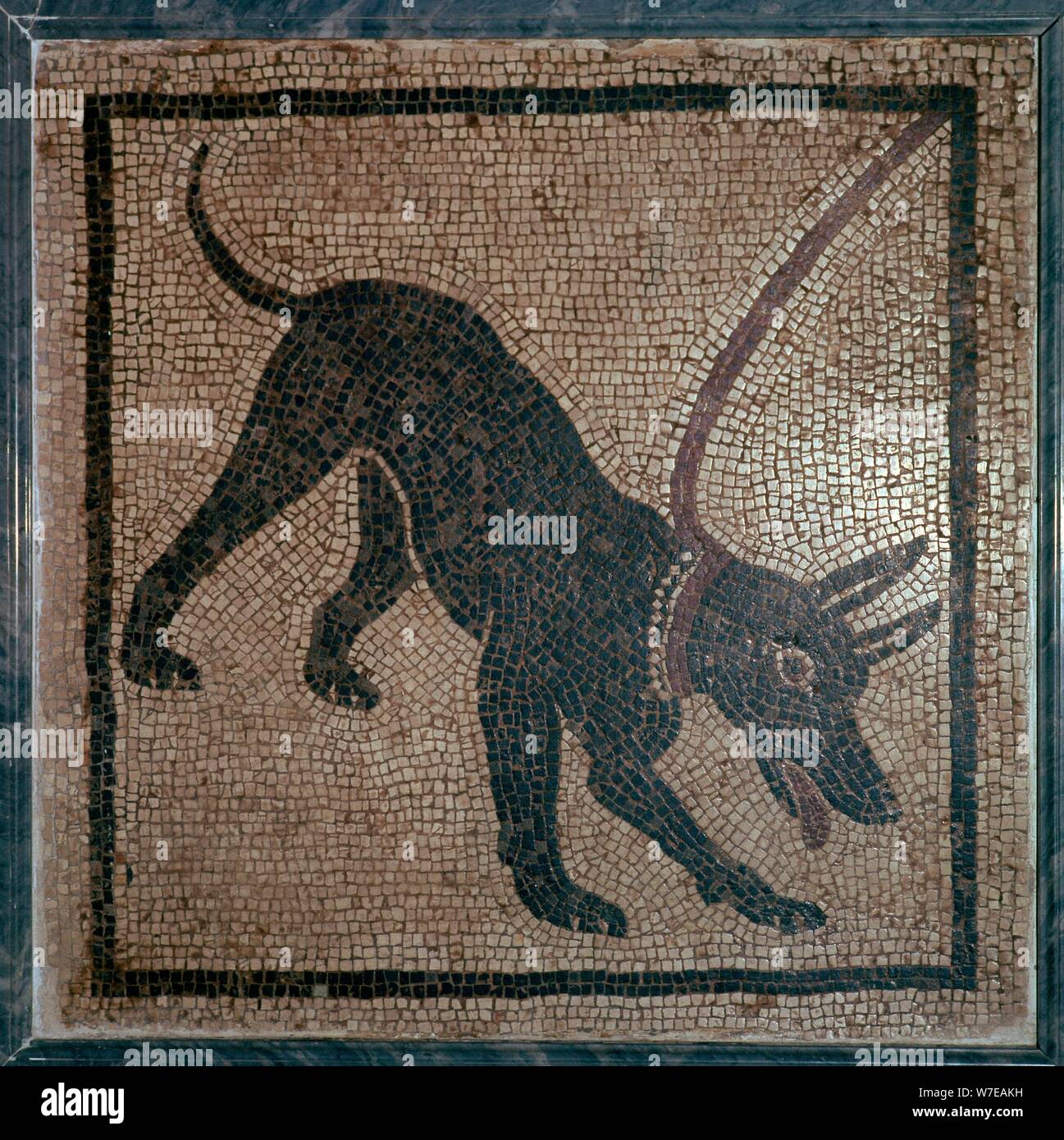 Römische Mosaik eines Hundes, 1. Jahrhundert. Artist: Unbekannt Stockfoto