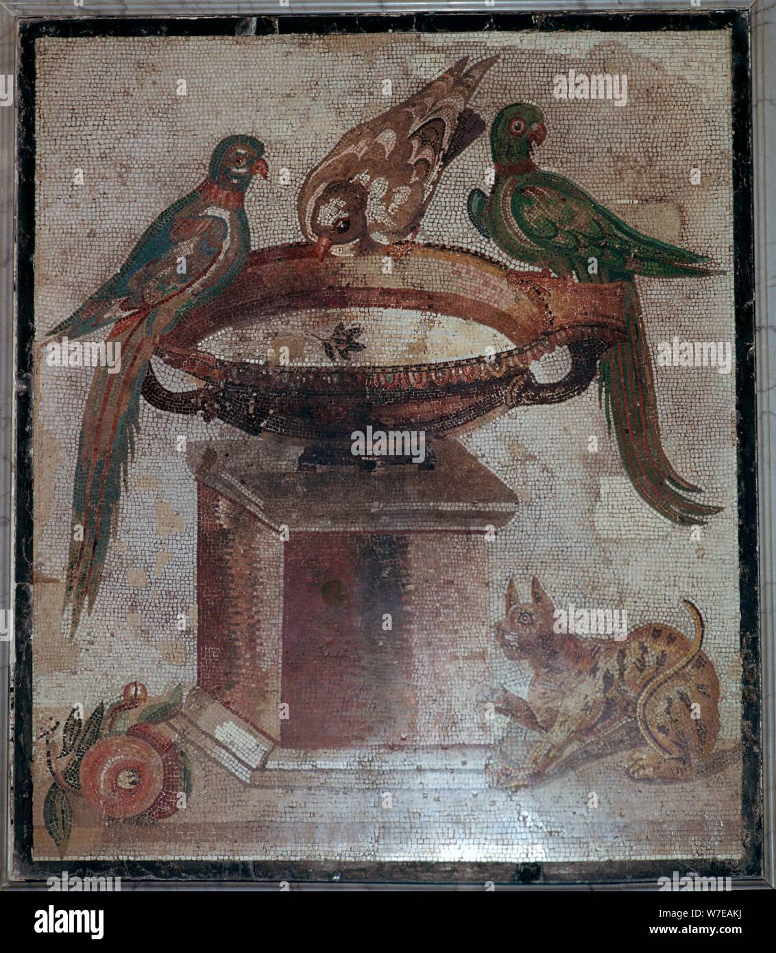 Römische Mosaik der Vögel und eine Katze an einem Brunnen, 1. Jahrhundert. Artist: Unbekannt Stockfoto