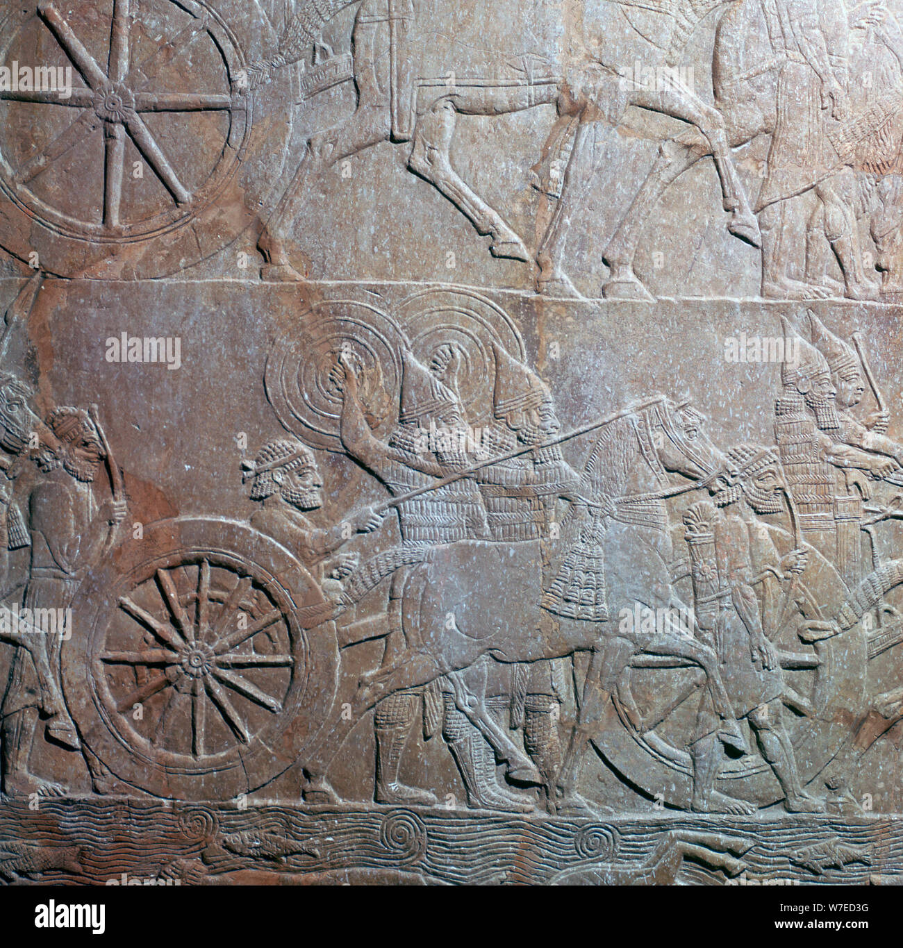 Assyrischen relief Übersicht Assyrische streitwagen an der Schlacht auf den Fluss Ulai her 7. Artist: Unbekannt Stockfoto