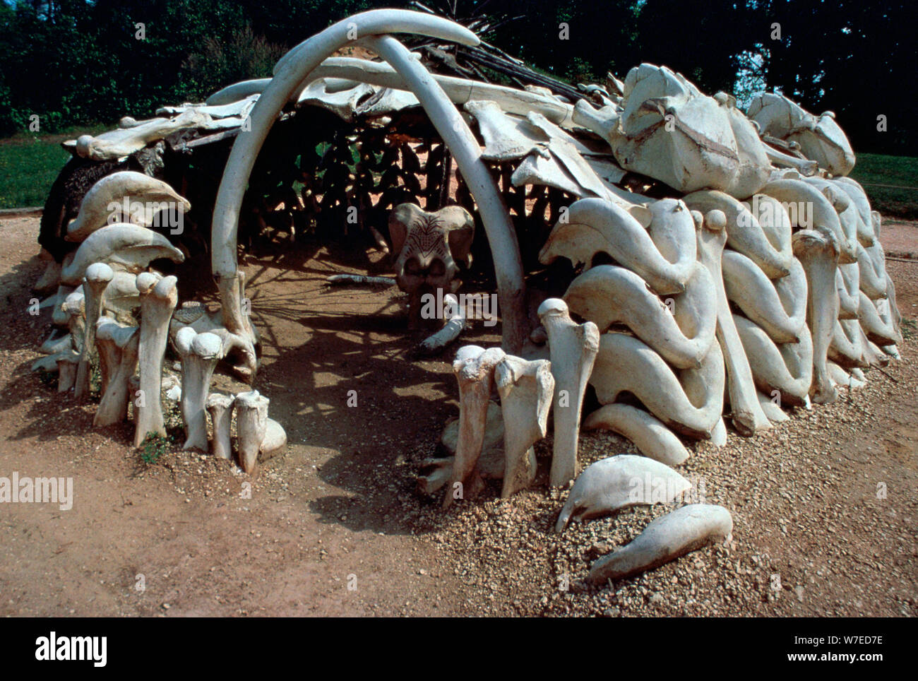 Der altsteinzeit Mammoth hunter Hütte. Artist: Unbekannt Stockfoto