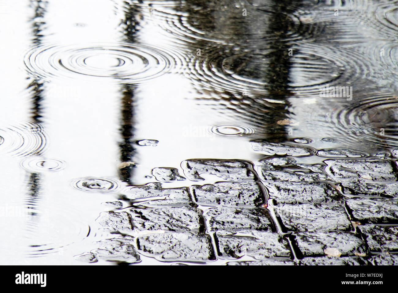 Detail der Regen fällt in eine Pfütze und Reflexionen über eine gepflasterte Straße Stockfoto