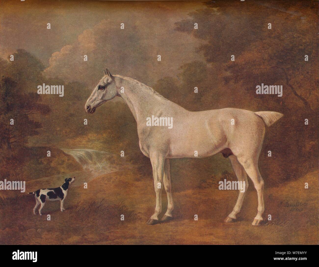 "Ein Flea-Bitten grau und eine gefleckte Terrier", 1803. Stockfoto