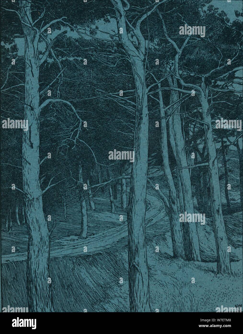 Woodland, c1912. Künstler: Willem Wenckebach. Stockfoto