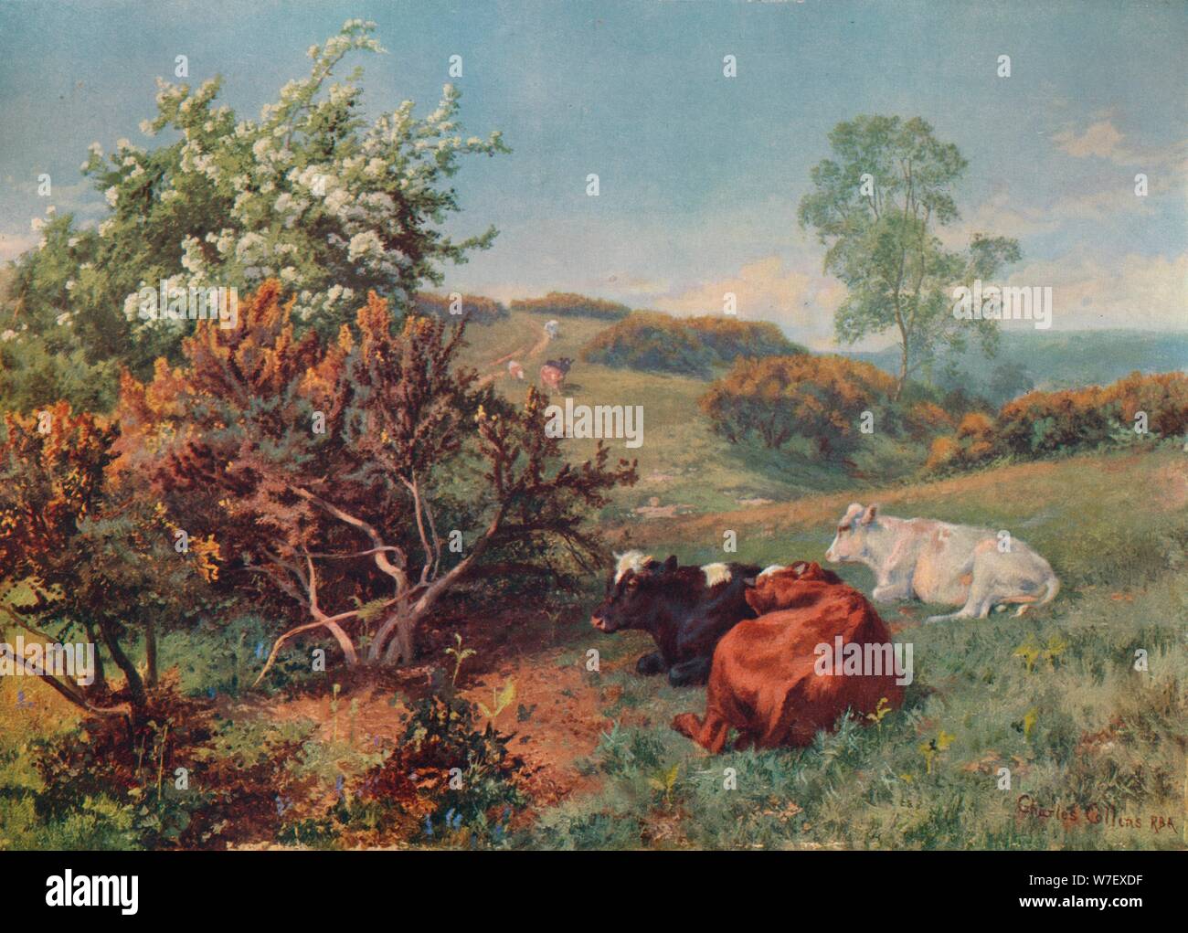 "Landschaft mit Vieh (In Nower, Dorking)", c1899. Künstler: Charles Collins. Stockfoto