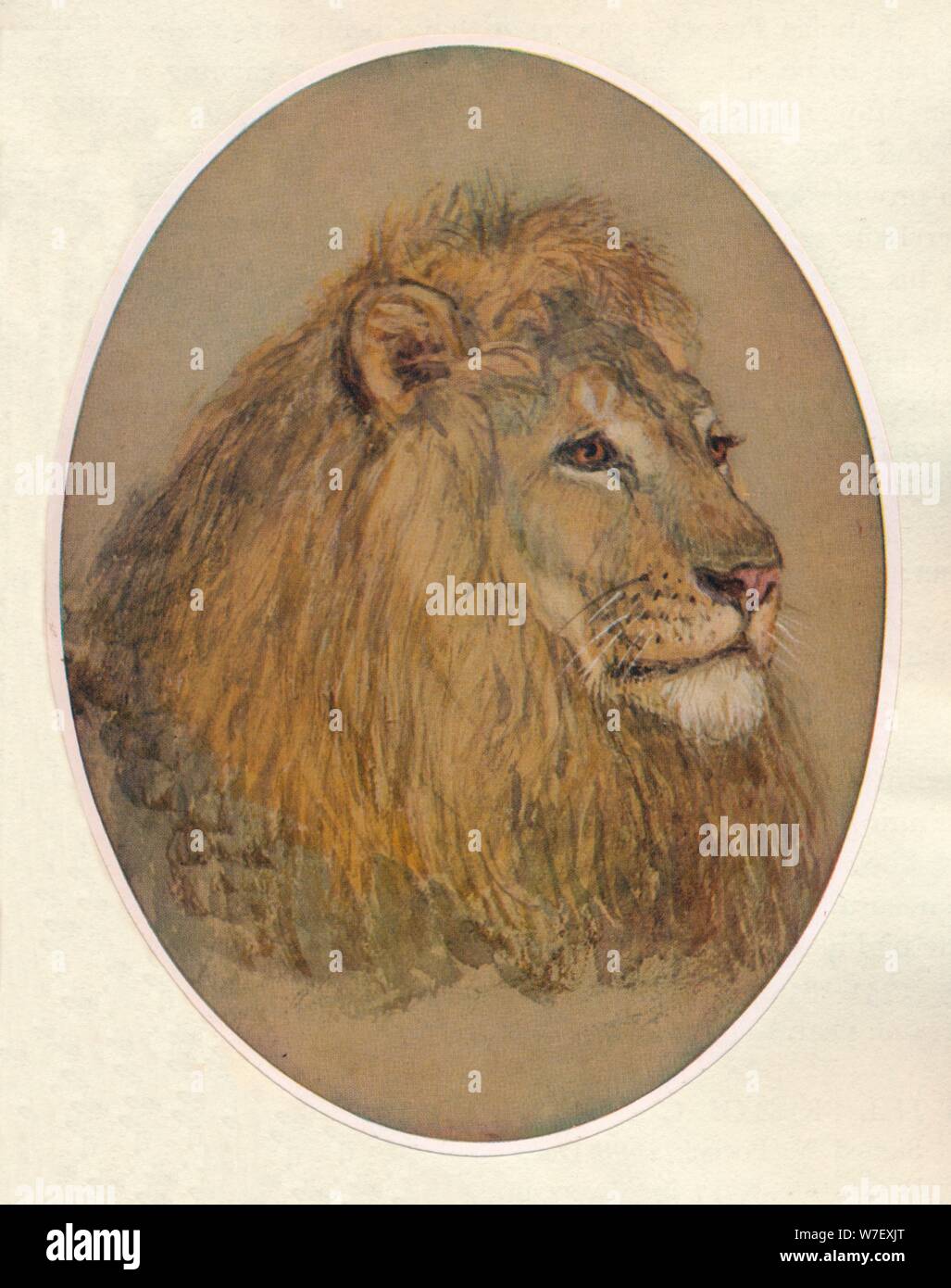 "Löwenkopf", c1896. Künstler: Frank Paton. Stockfoto