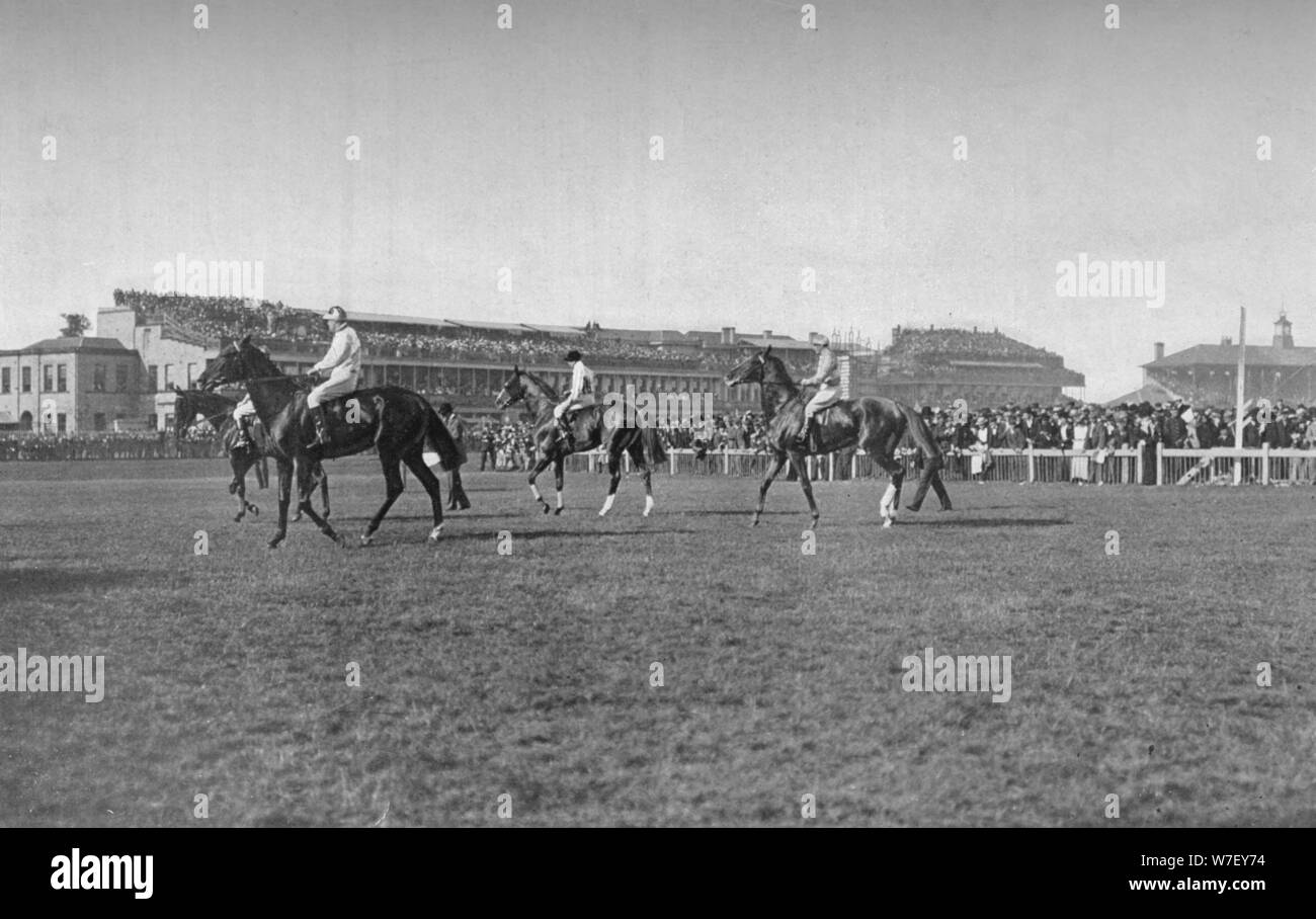 "St. Leger Pferde an der Doncaster Stand", c1901, (1903). Künstler: WW Rouch. Stockfoto