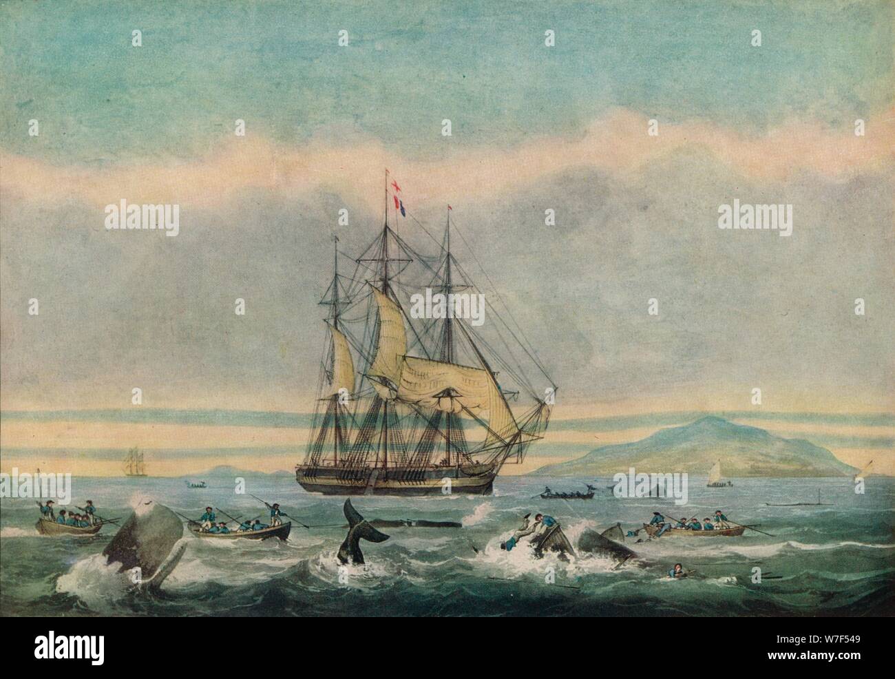 "Südsee Whale Fishery", 1825. Künstler: Thomas Sutherland. Stockfoto
