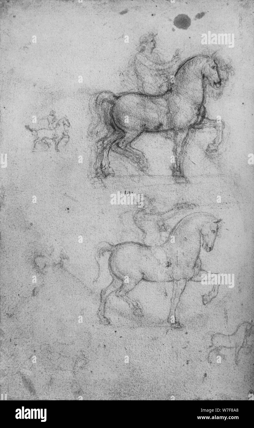 Zwei Studien von Pferden und Reitern und kleinere Studien der Pferde, c1480 (1945). Künstler: Leonardo da Vinci. Stockfoto