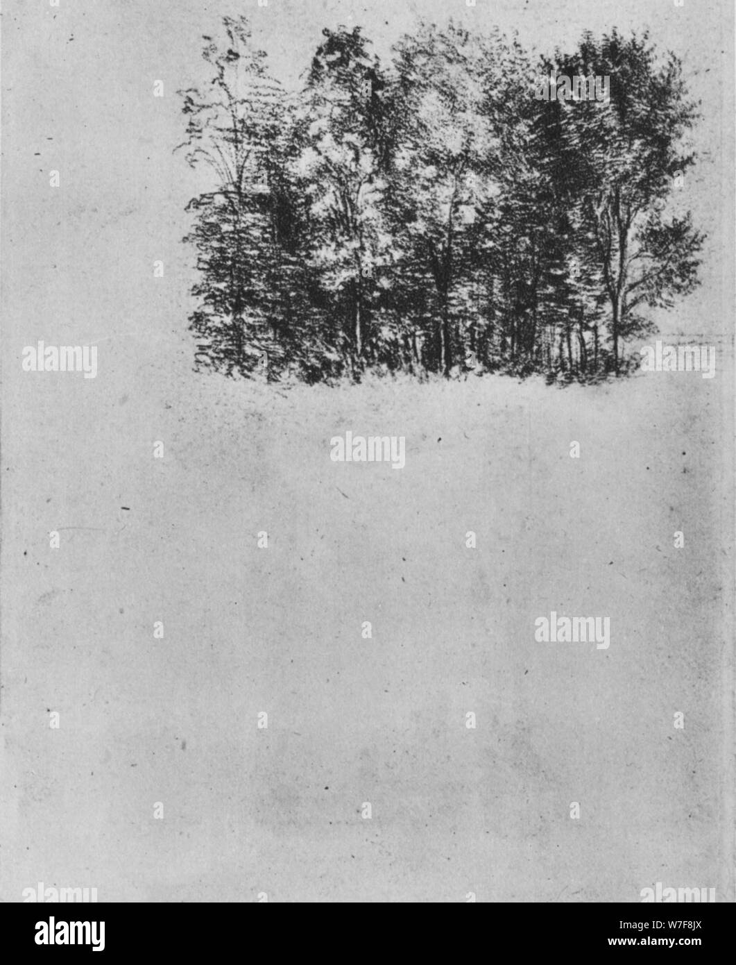 Studie von einem Niederwald ", c1480 (1945). Künstler: Leonardo da Vinci. Stockfoto