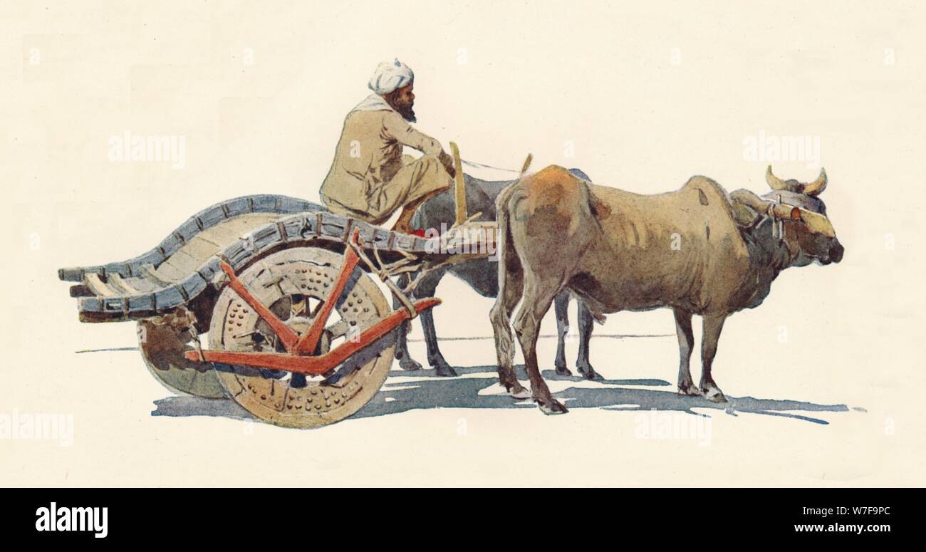 "Ein Ochsenkarren, Jodhpur', c 1880 (1905). Schöpfer: Alexander Henry Hallam Murray. Stockfoto
