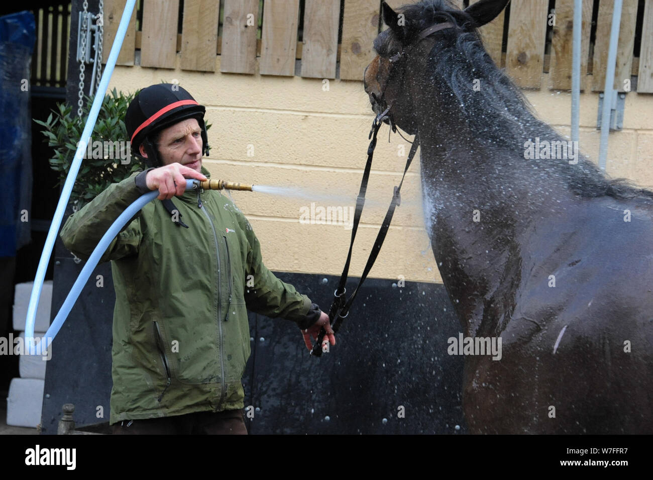 Rennpferd Trainer Tom Lacey im Cottage Feld Ställe in der Nähe von Woolhope, Herefordshire. Abspritzen ein Pferd nach unten nach dem Training. Stockfoto