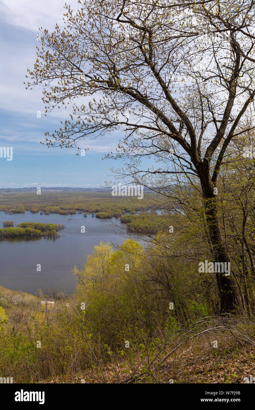 Mississippi River Scenic View im Frühjahr Stockfoto