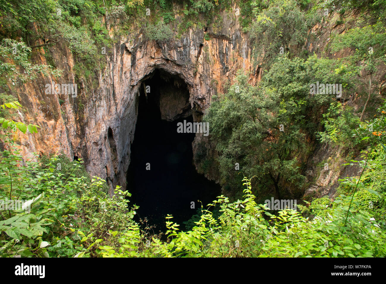 Chinhoyi Höhlen, Simbabwe. Kalkstein und Dolomit Höhlen liegt etwa 9 Kilometer nordwestlich von Chinhoyi Stockfoto