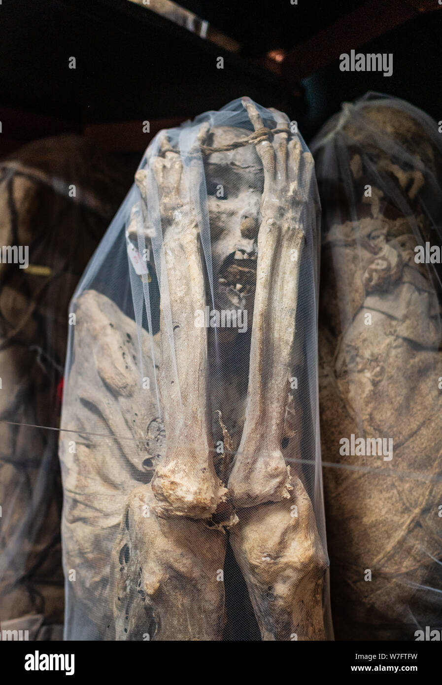Die berühmten Mumien, die in Gräbern in der Nähe der Laguna de los Condores (See der Kondore) gefunden und kann jetzt bei Leymebamba Museum gesehen werden. Stockfoto