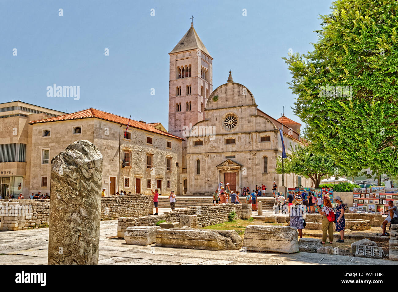 Römische Artefakte Museum und der Glockenturm von St. Anastasia Kathedrale in der Altstadt von Zadar, Kroatien. Stockfoto