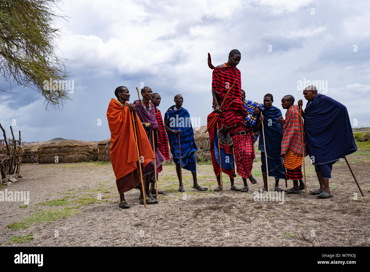 Traditionelle Masai springen Tanz in einem Masai Dorf, Tansania, Ostafrika Stockfoto