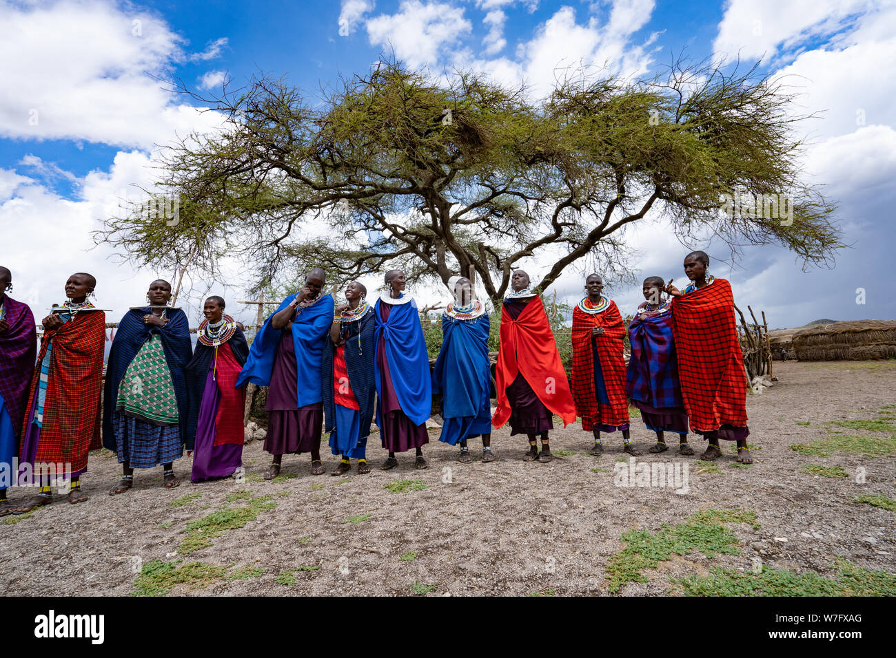 Traditionelle Masai springen Tanz in einem Masai Dorf, Tansania, Ostafrika Stockfoto