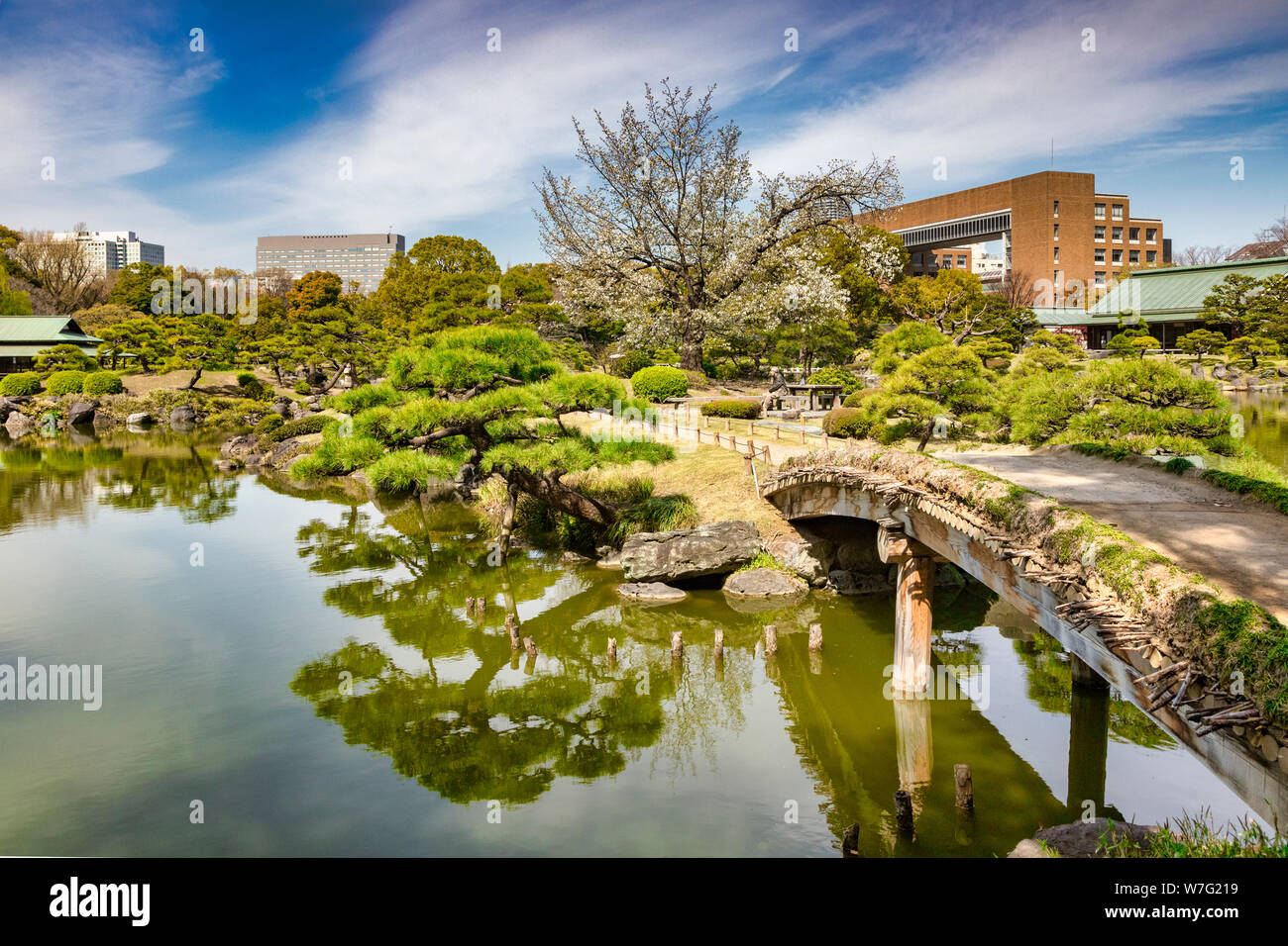 5. April 2019: Tokyo, Japan - Teich und Brücke in Kiyosumi Garten, einem traditionellen Stil angelegten Garten in Tokio. Stockfoto