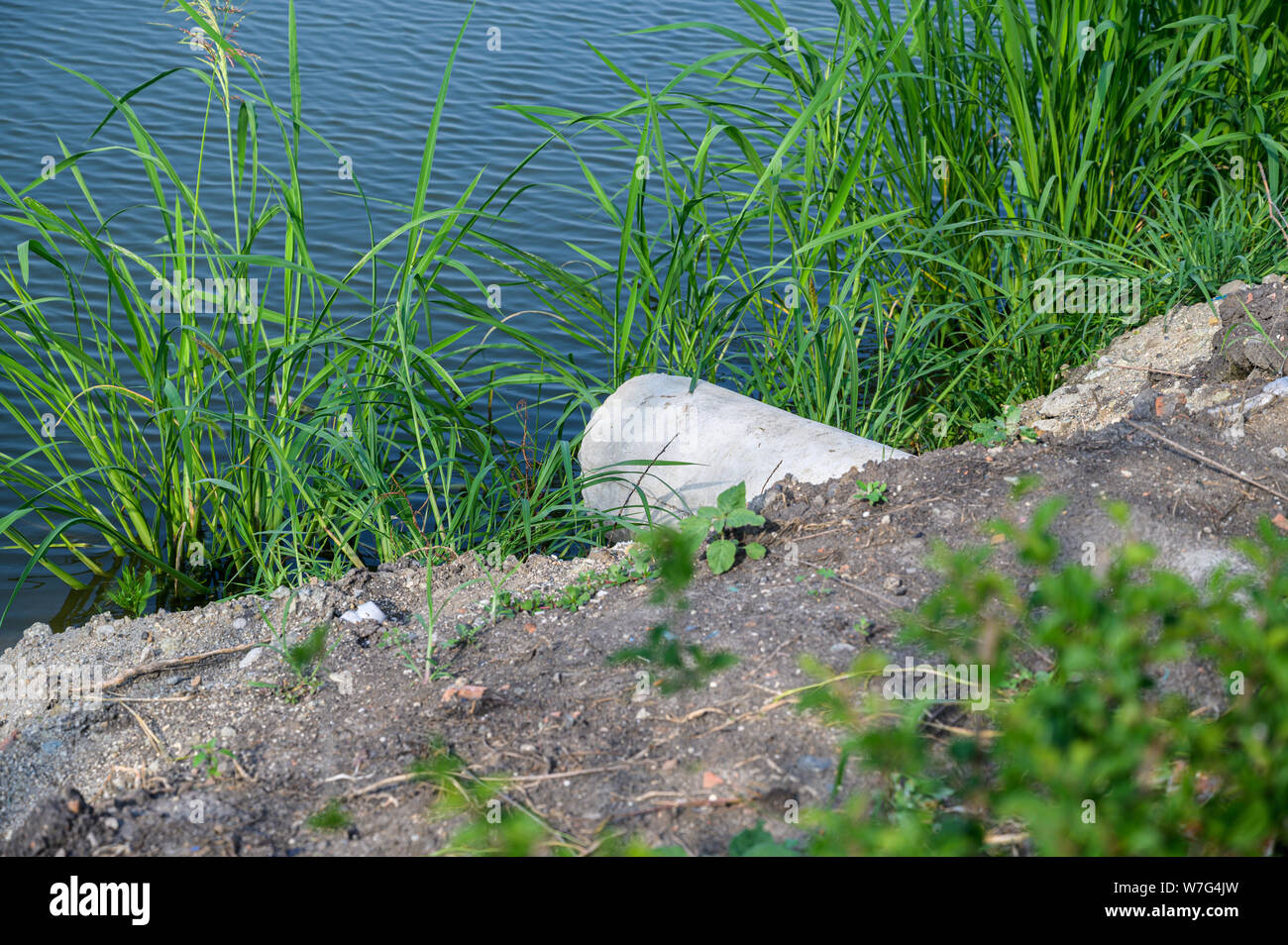 Rohr oder Schlauch für Wasser Abwasser in den Fluss führt. Stockfoto Rohr oder Schlauch für Wasser Abwasser in den Fluss führt. Stockfoto