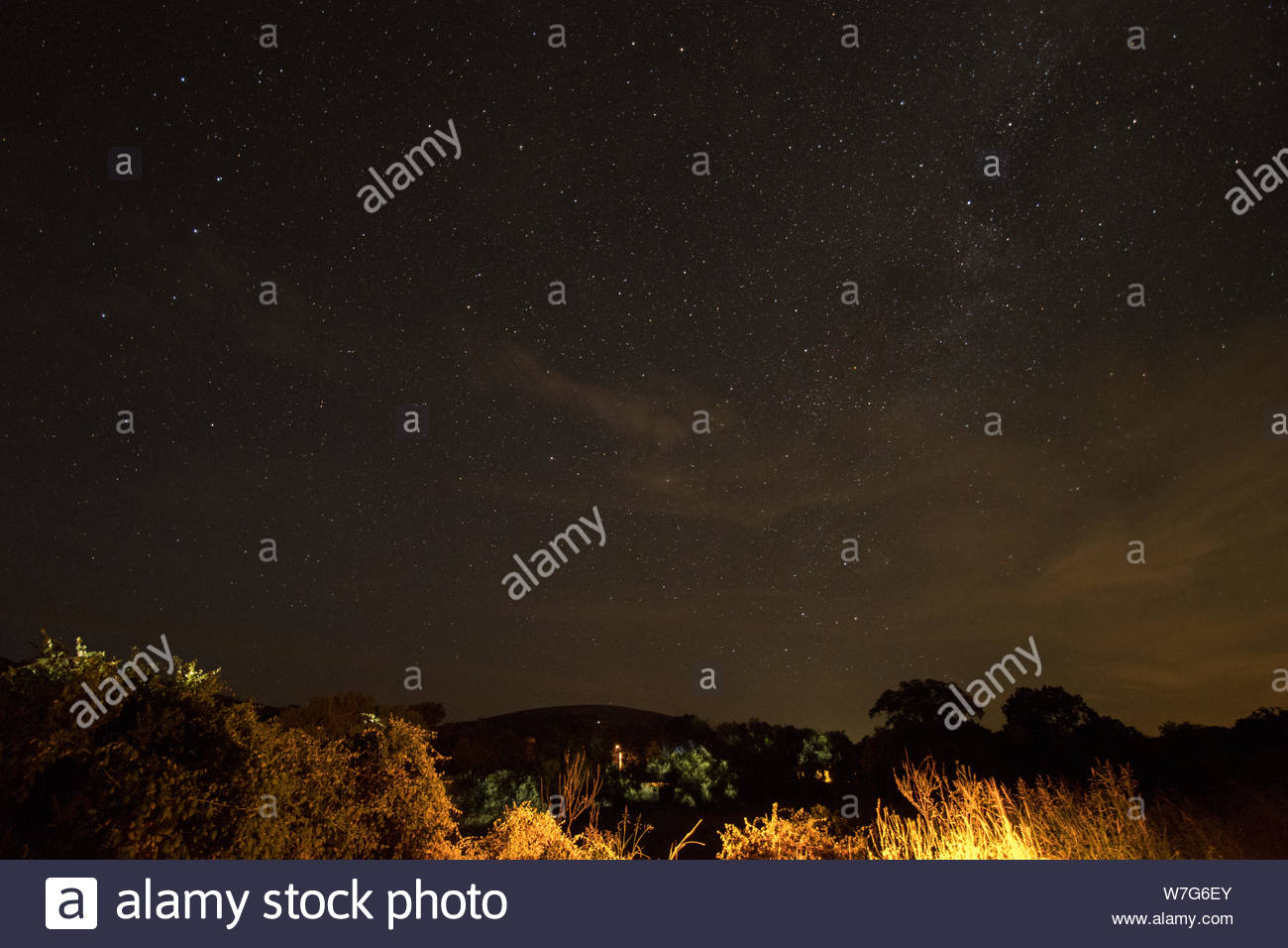 Asterismus Stockfotos Asterismus Bilder Alamy