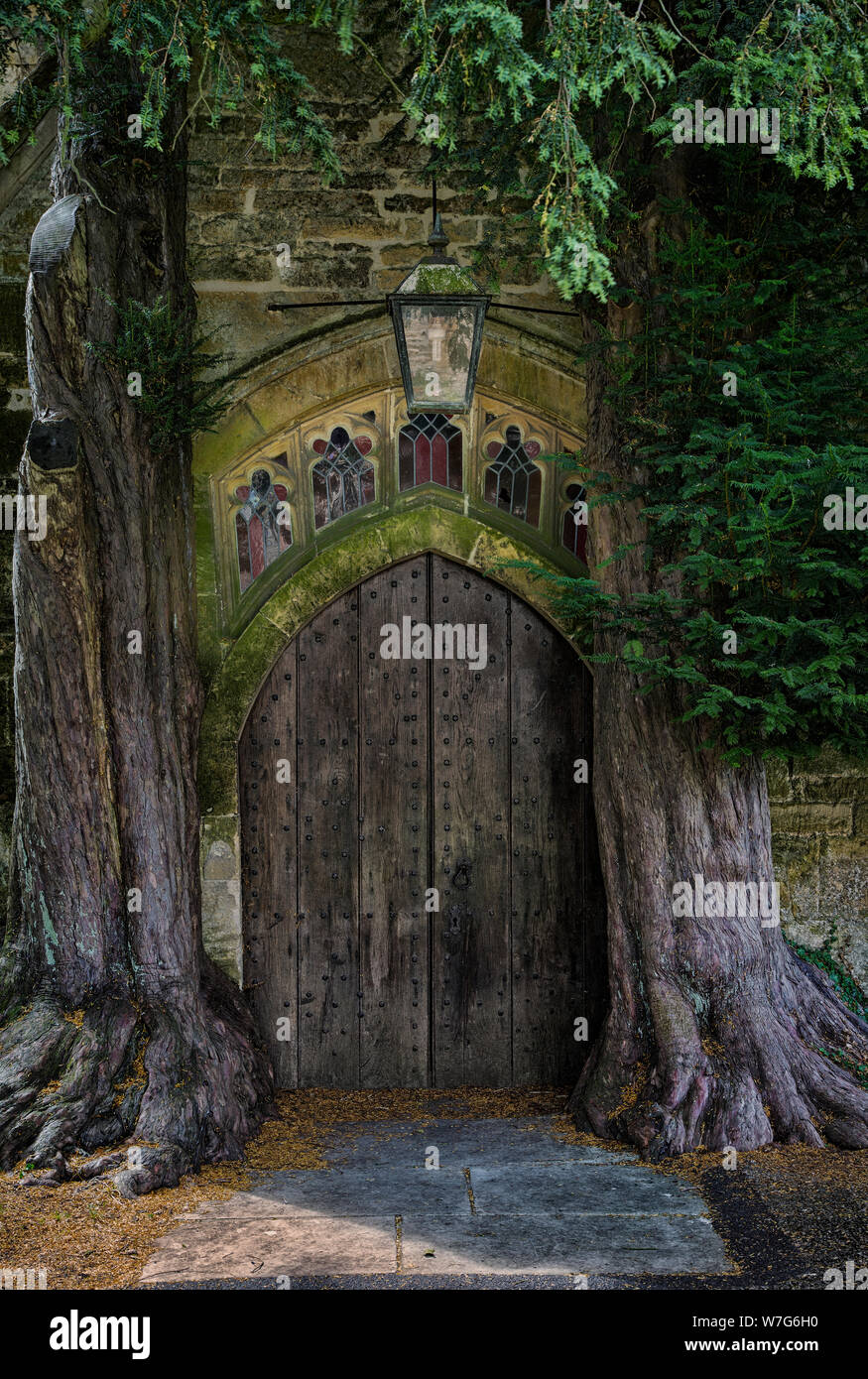 Bäume wachsen in einer der Türen St. Edwards Church, Stow-on-the-Wold, Cotswolds, Gloucestershire, England Stockfoto Bäume wachsen in einer der Türen St. Edwards Church, Stow-on-the-Wold, Cotswolds, Gloucestershire, England Stockfoto