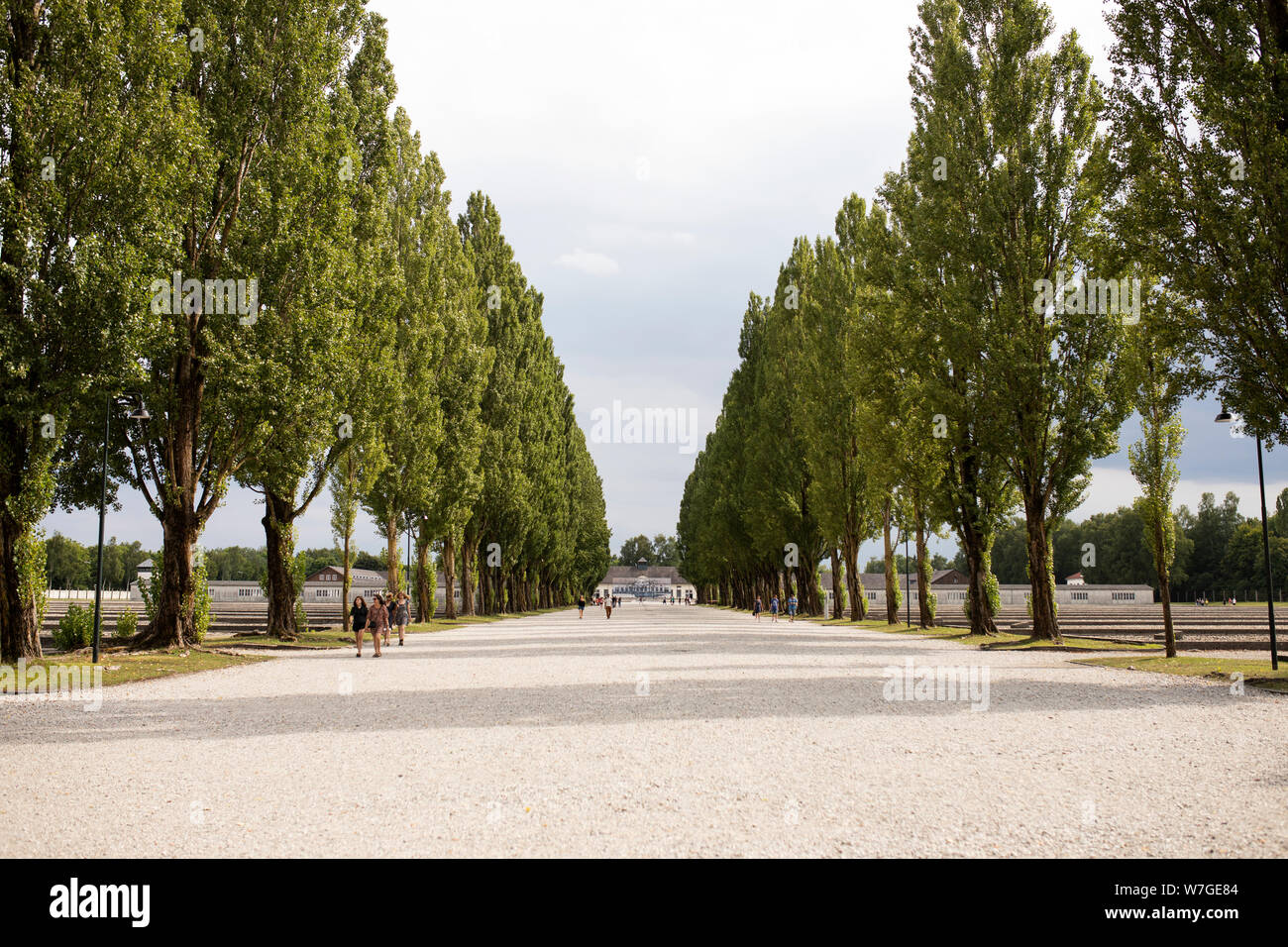 Die ehemalige Lagerstraße am KZ Dachau, gesäumt von Bäumen, wo einst Baracken und andere Gebäude standen, in Dachau, Deutschland. Stockfoto