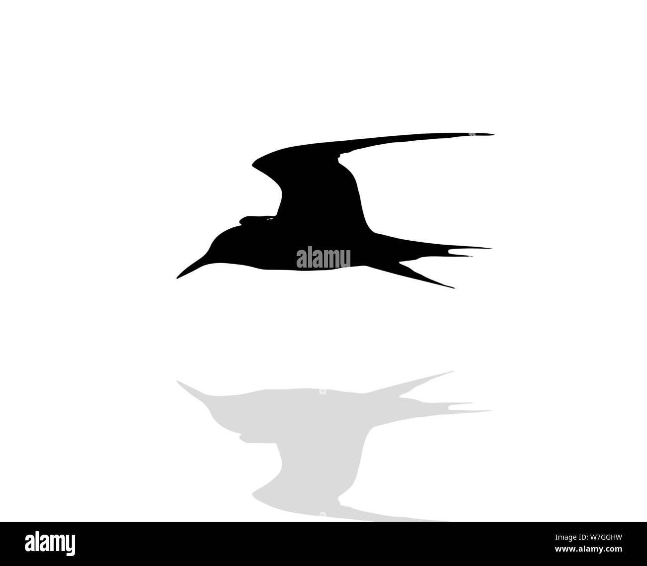 Tern Vogel über Wasser, Silhouette Stock Vektor